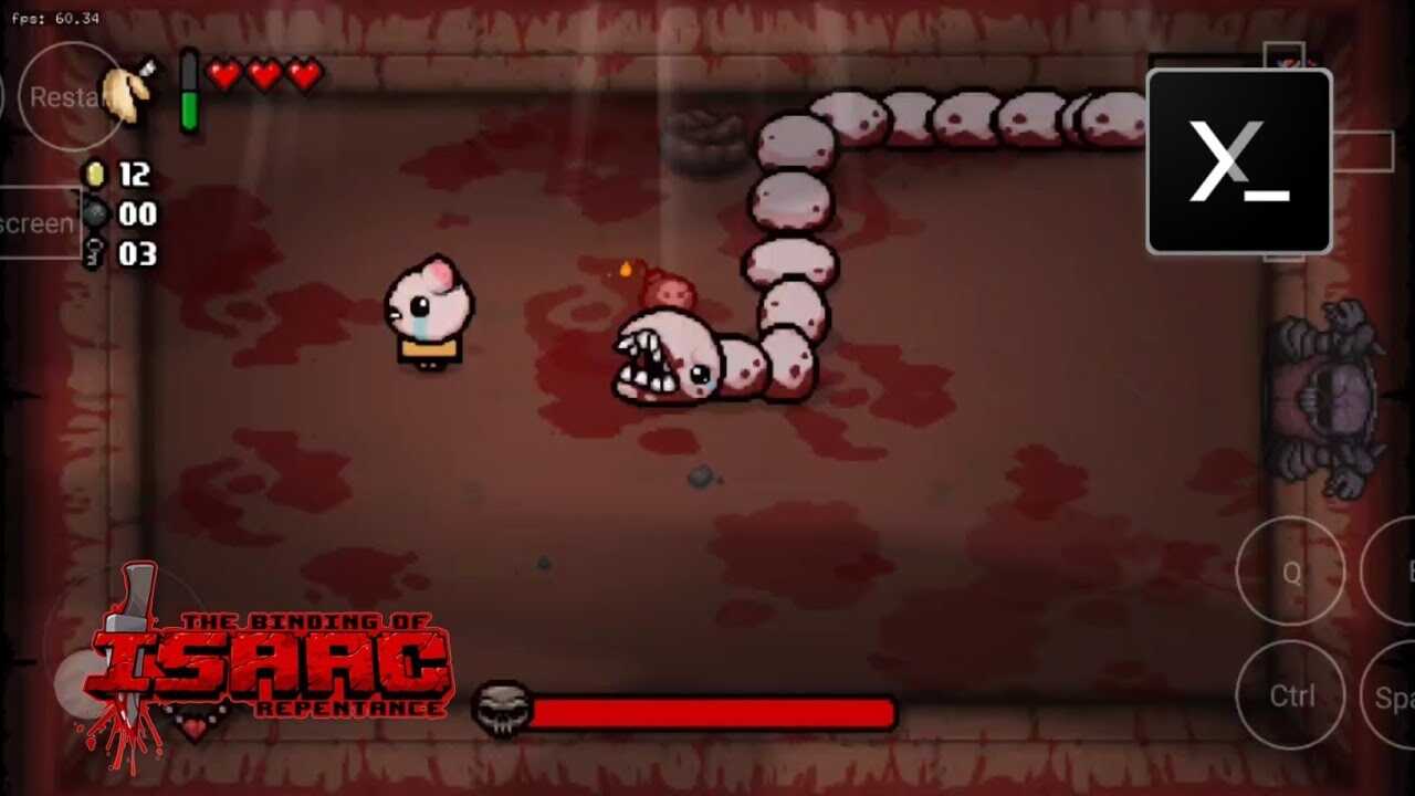 The Binding of Isaac Repentance gameplay