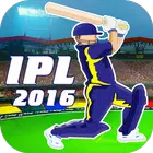 IPL Cricket 2016 review