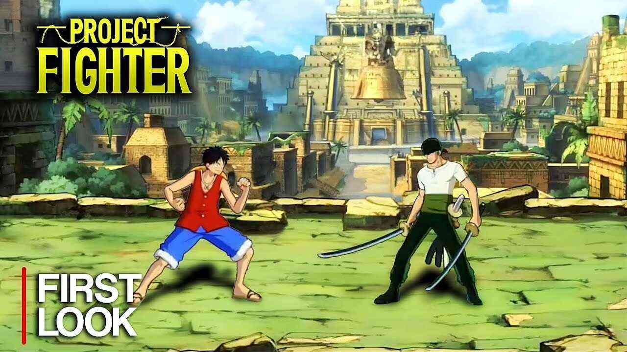 One Piece Ambition 3
